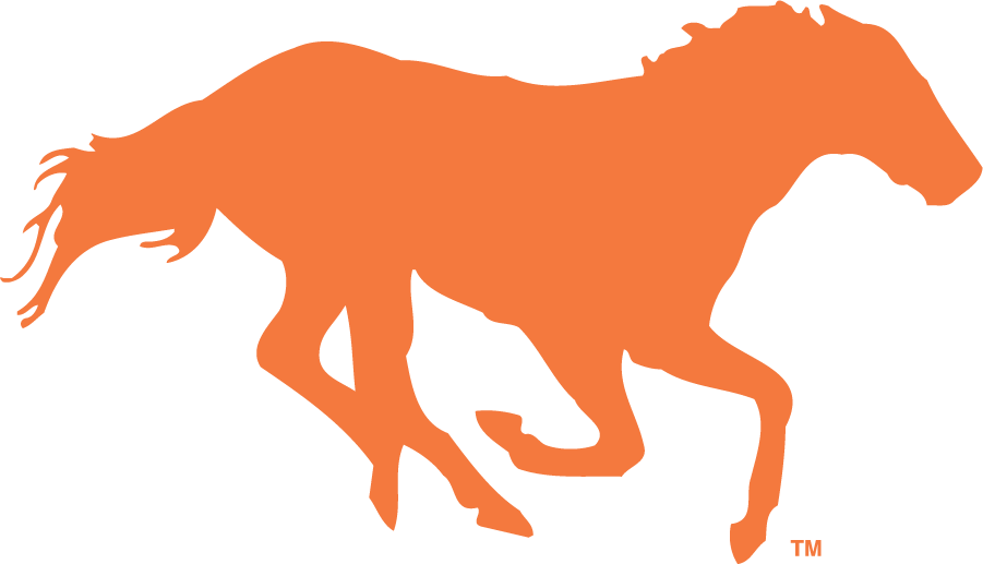 Boise State Broncos 1987-2002 Secondary Logo DIY iron on transfer (heat transfer)